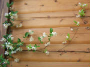 woodsidingflowers.jpg